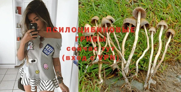 apvp Козельск
