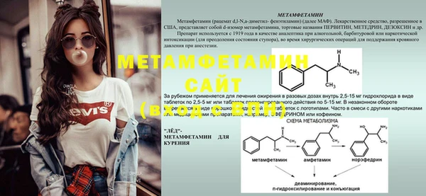 прущие грибы Киреевск