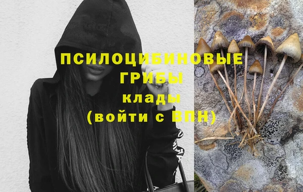 a pvp Киренск